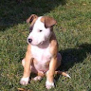 Meet your Posher, Gellie